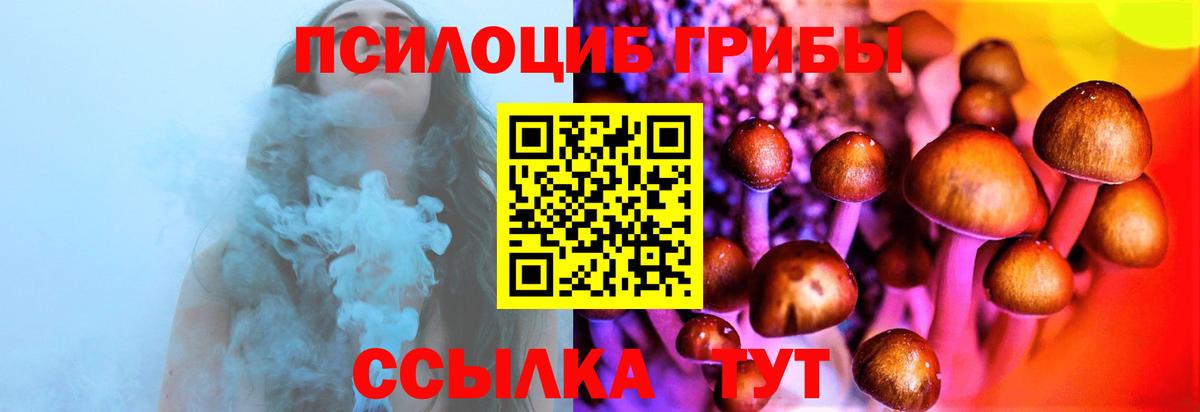 Псилоцибиновые грибы GOLDEN TEACHER  Вход с VPN  Галлюциногенные грибы мухоморы  где можно купить наркотик  Дальнегорск 